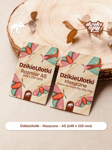 Ulotki & Plakaty