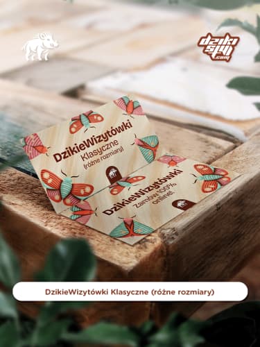 Wizytówki Klasyczne